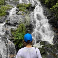 work and travel usa