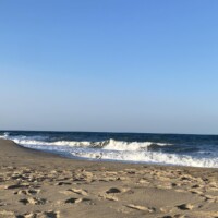 work and travel usa