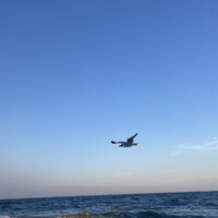 work and travel usa