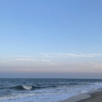 work and travel usa