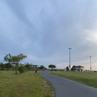 work and travel usa