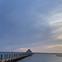 work and travel usa